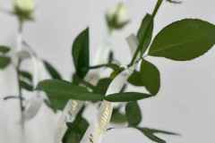 WhatsApp-Image-2025-05-13-at-11.12.16