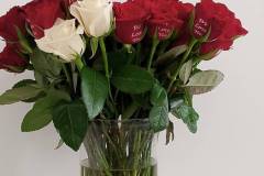 WhatsApp-Image-2025-05-13-at-11.12.55