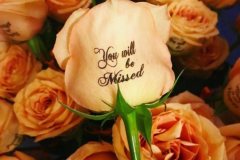 WhatsApp-Image-2025-05-13-at-11.13.35